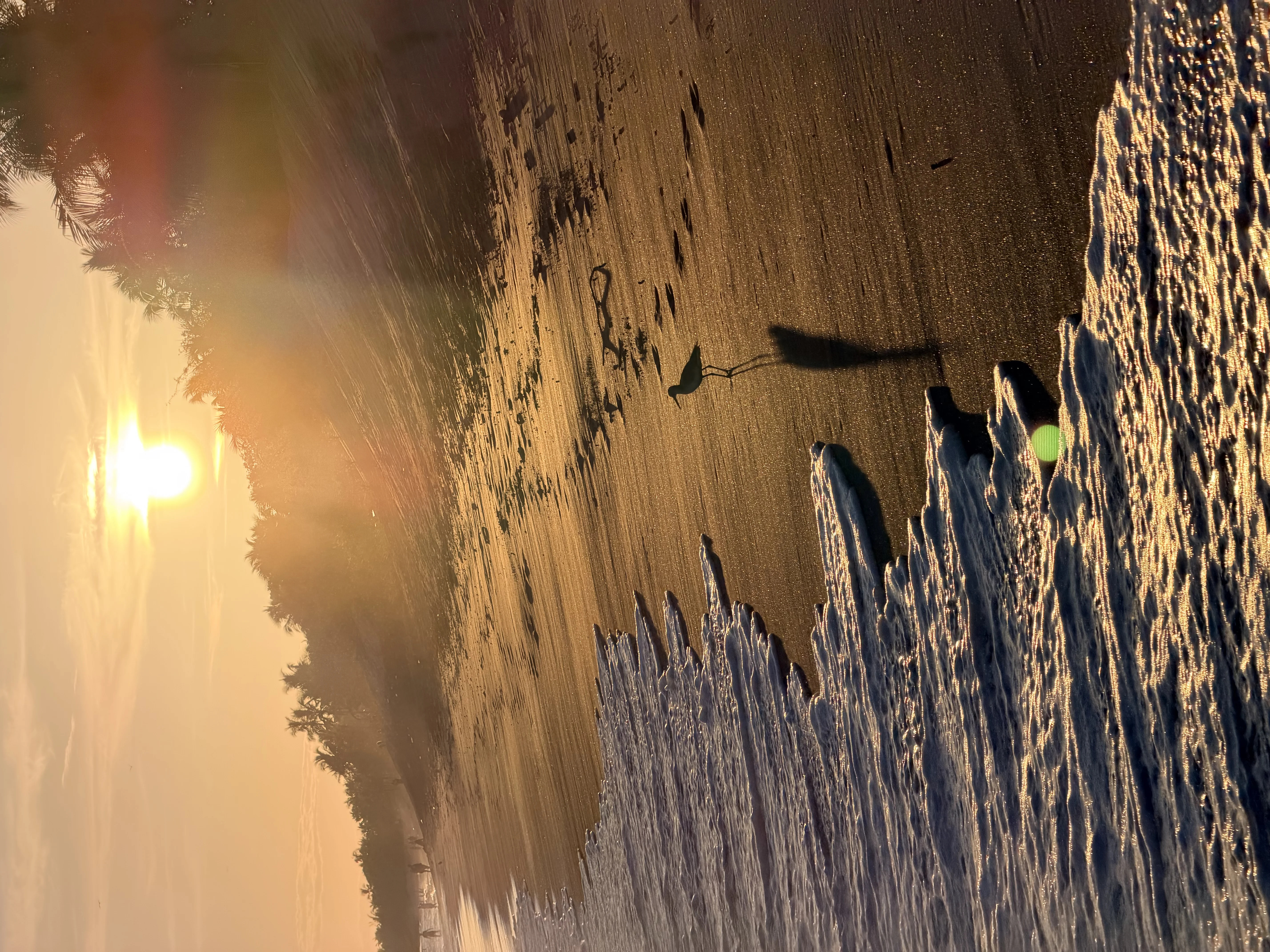 10 Best Beaches in Panama