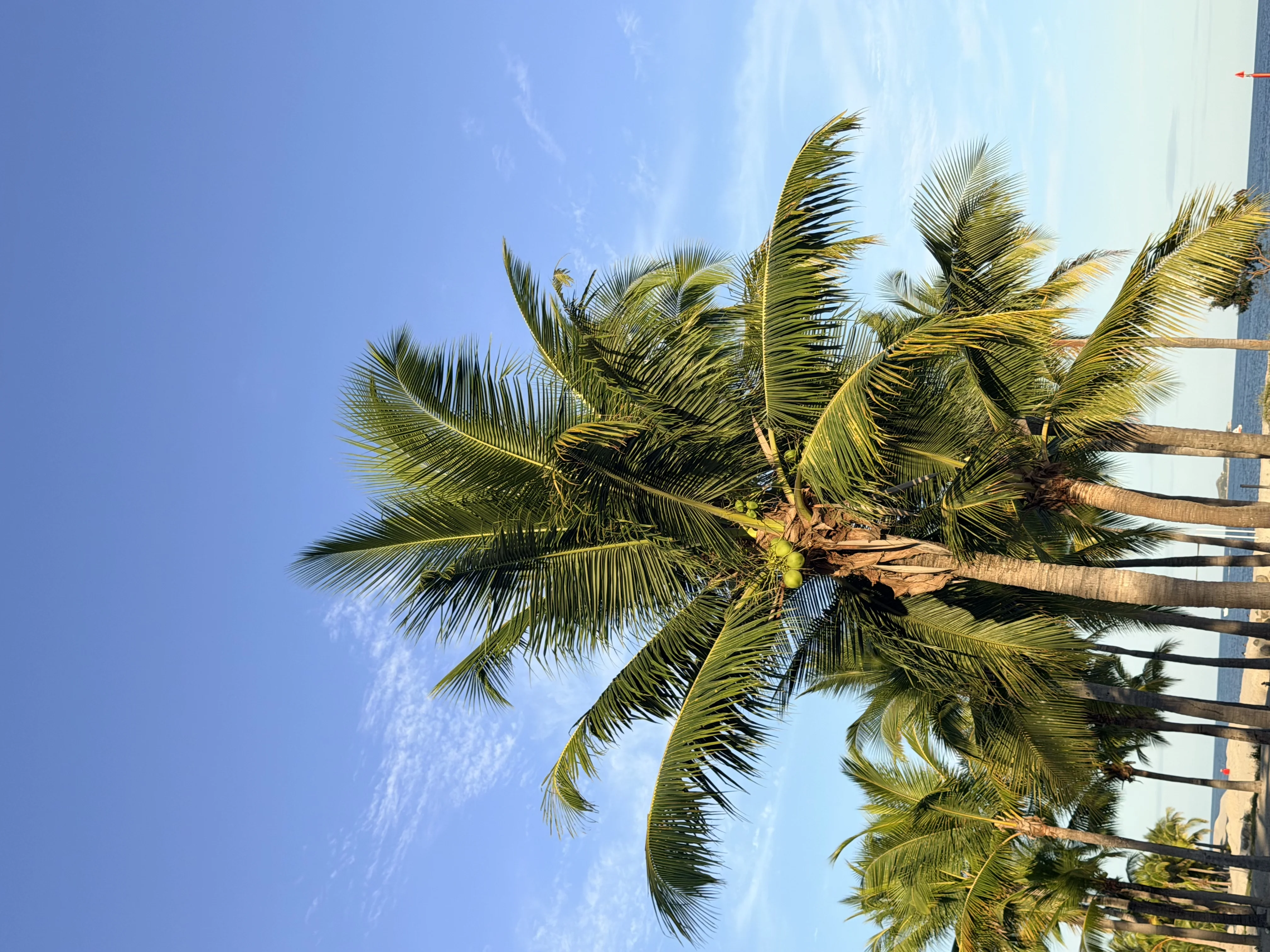 Buenaventura Beach - 13