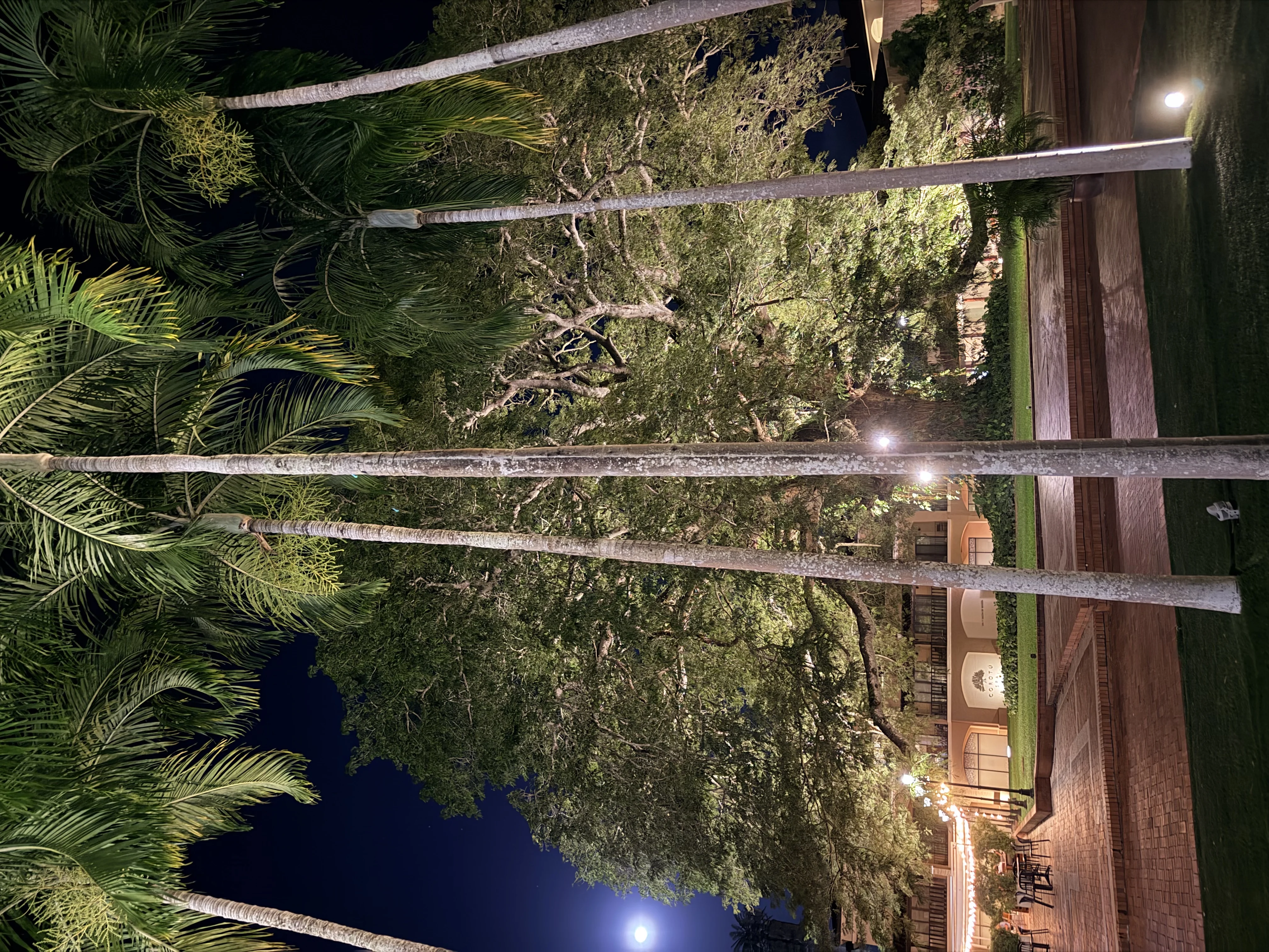 Hotel Buenaventura - 3