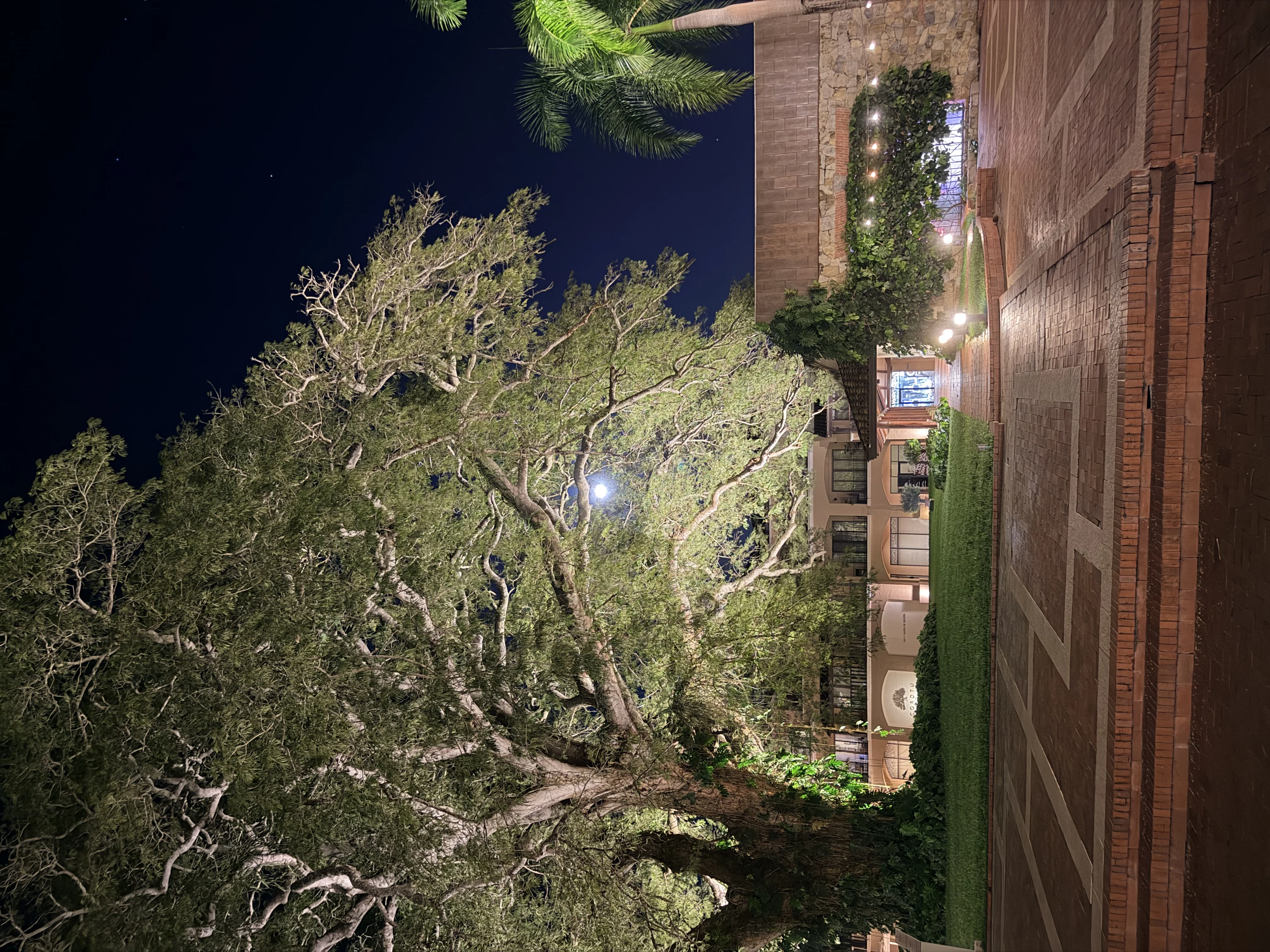 Hotel Buenaventura - 4