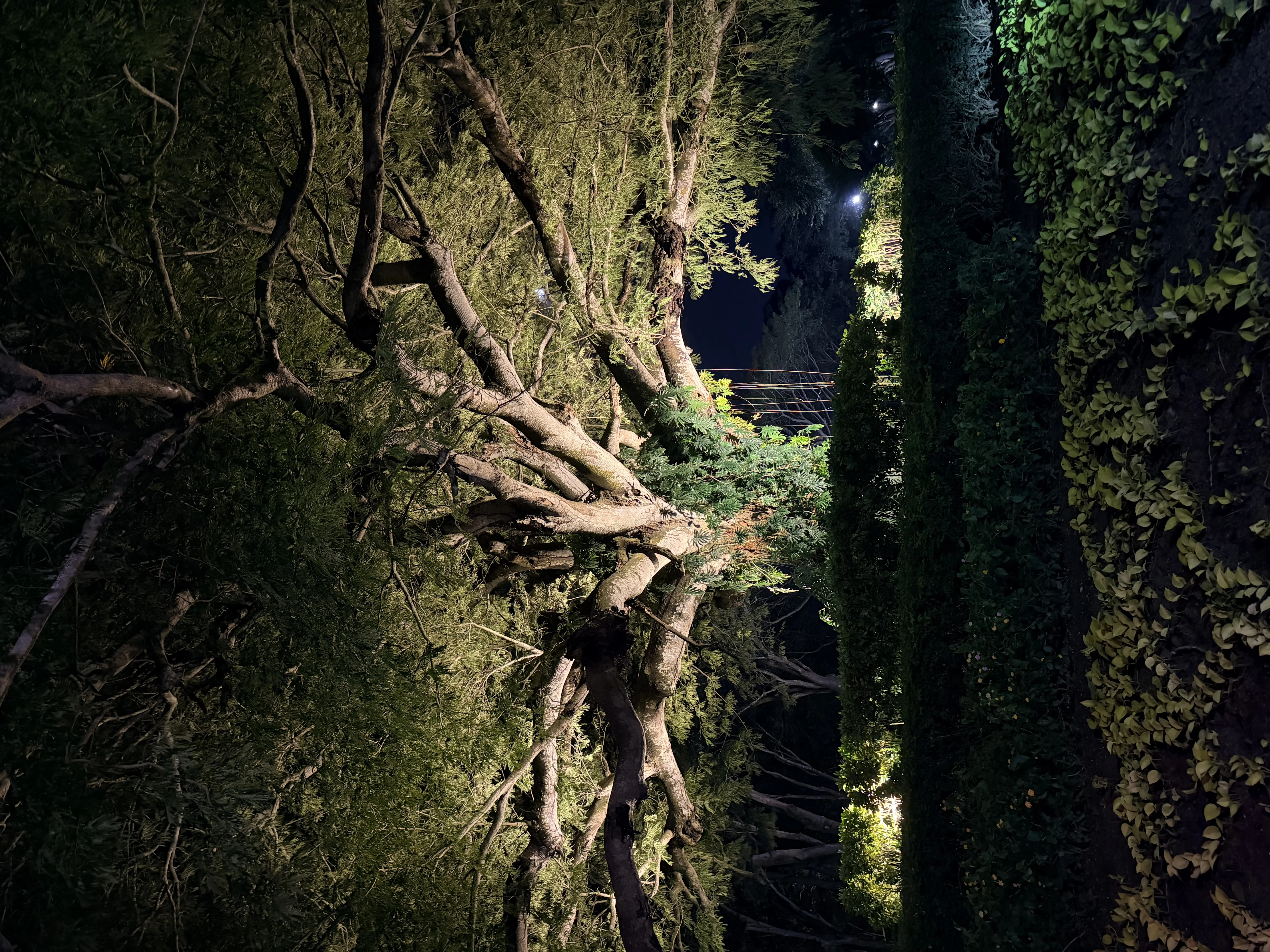 Hotel Buenaventura - 6