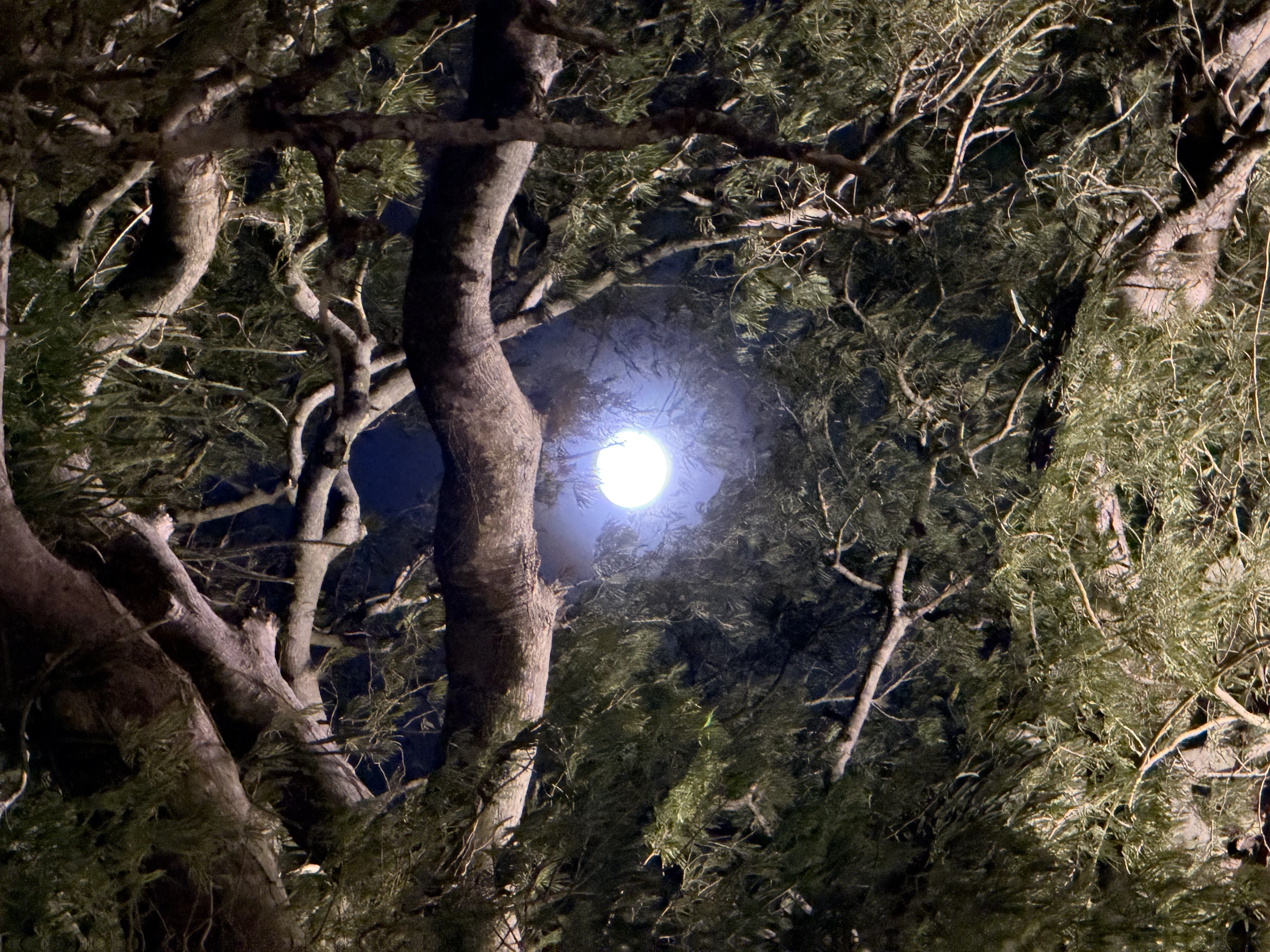 Hotel Buenaventura - 5