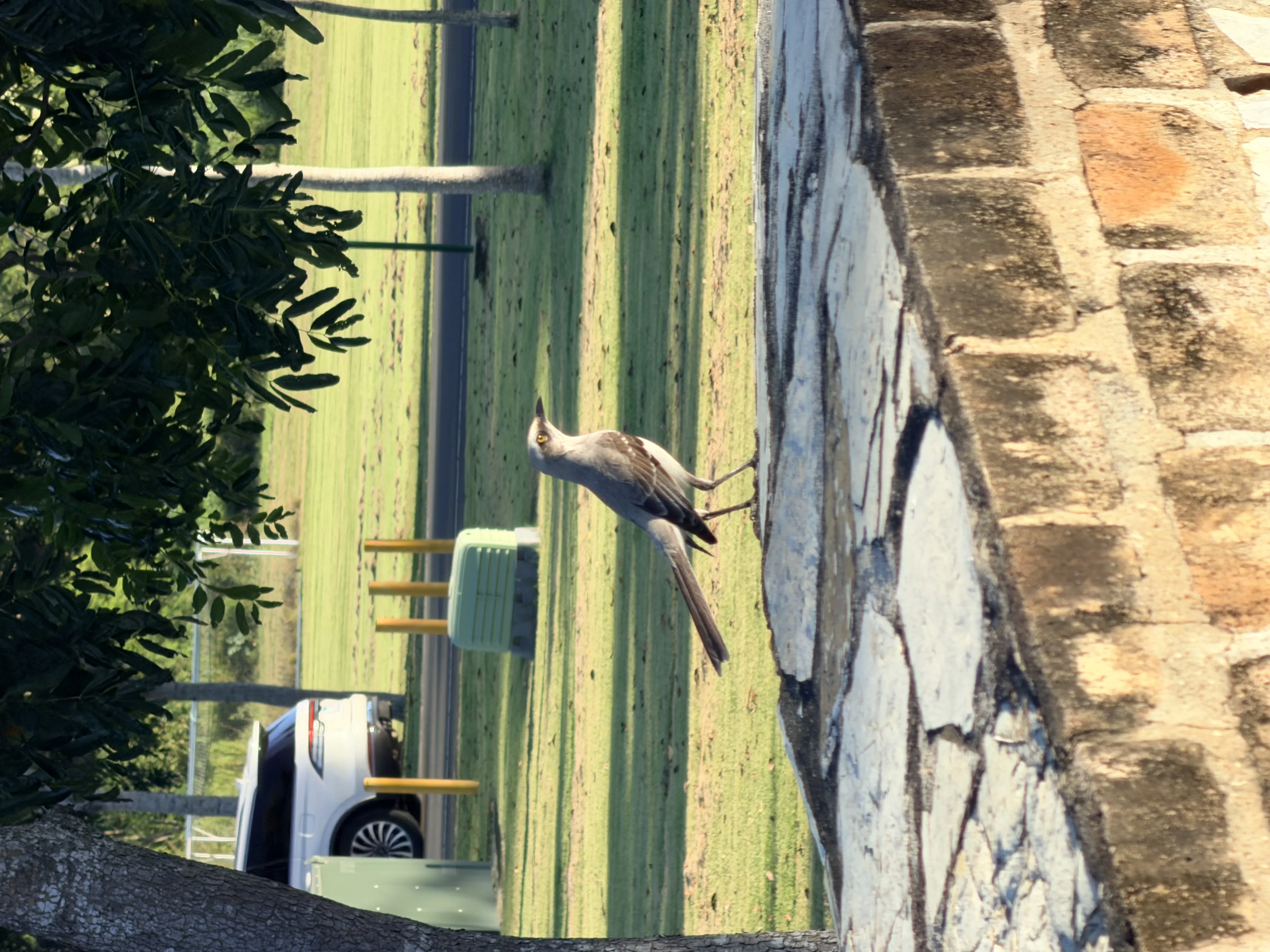 Buenaventura Zoo & Nature Trails