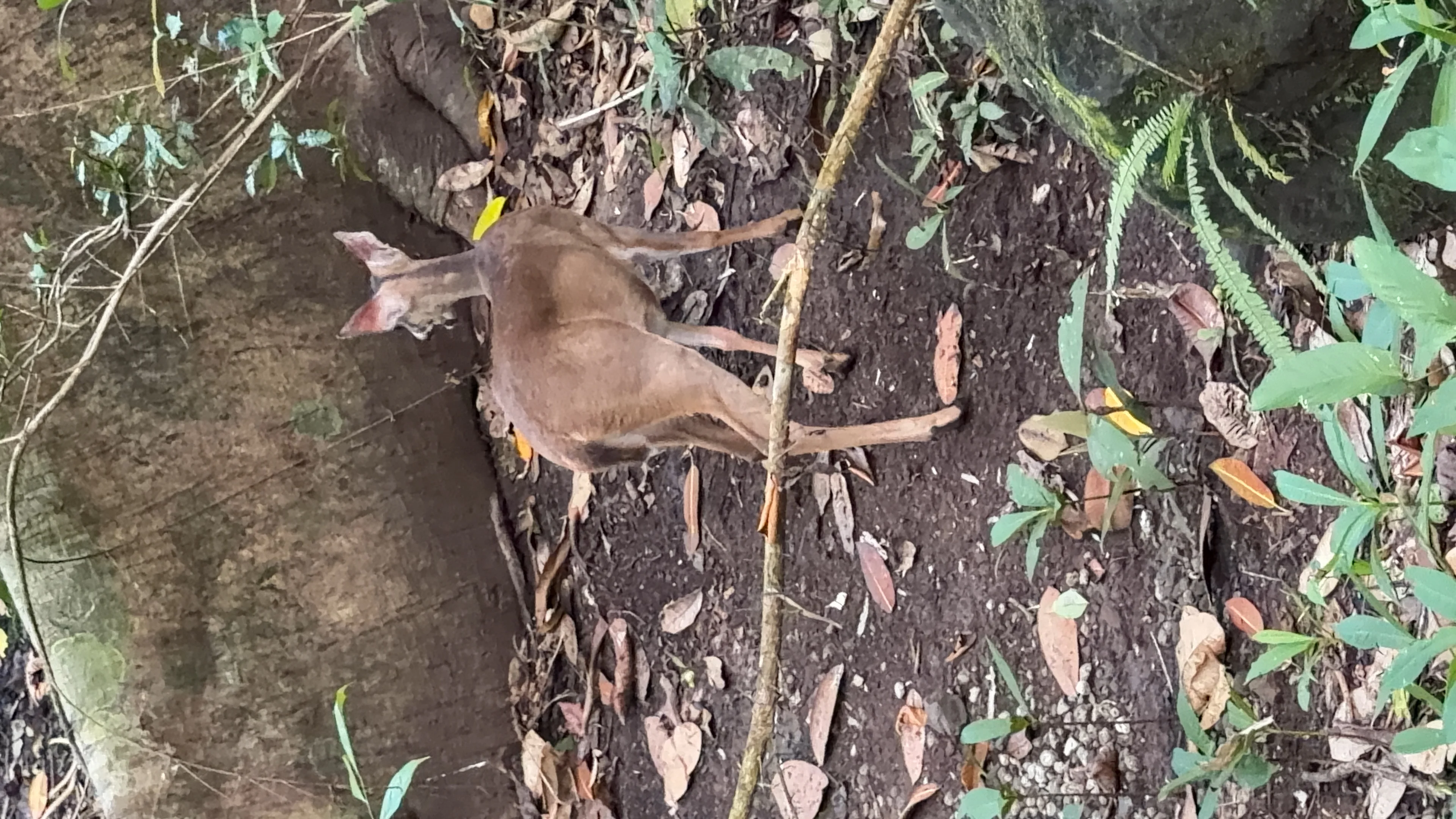 Parc Naturel Métropolitain - 3