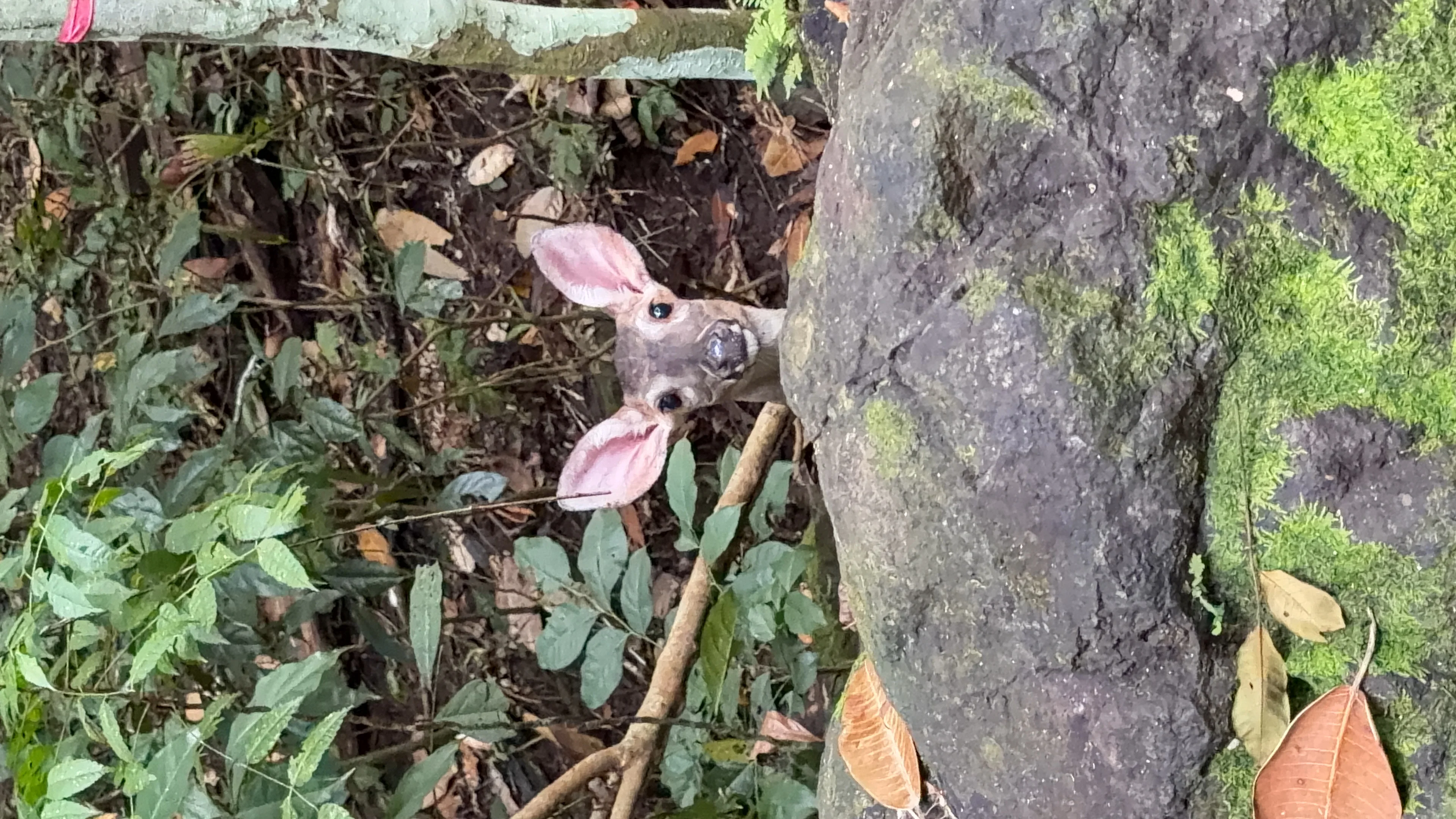 Parc Naturel Métropolitain - 5