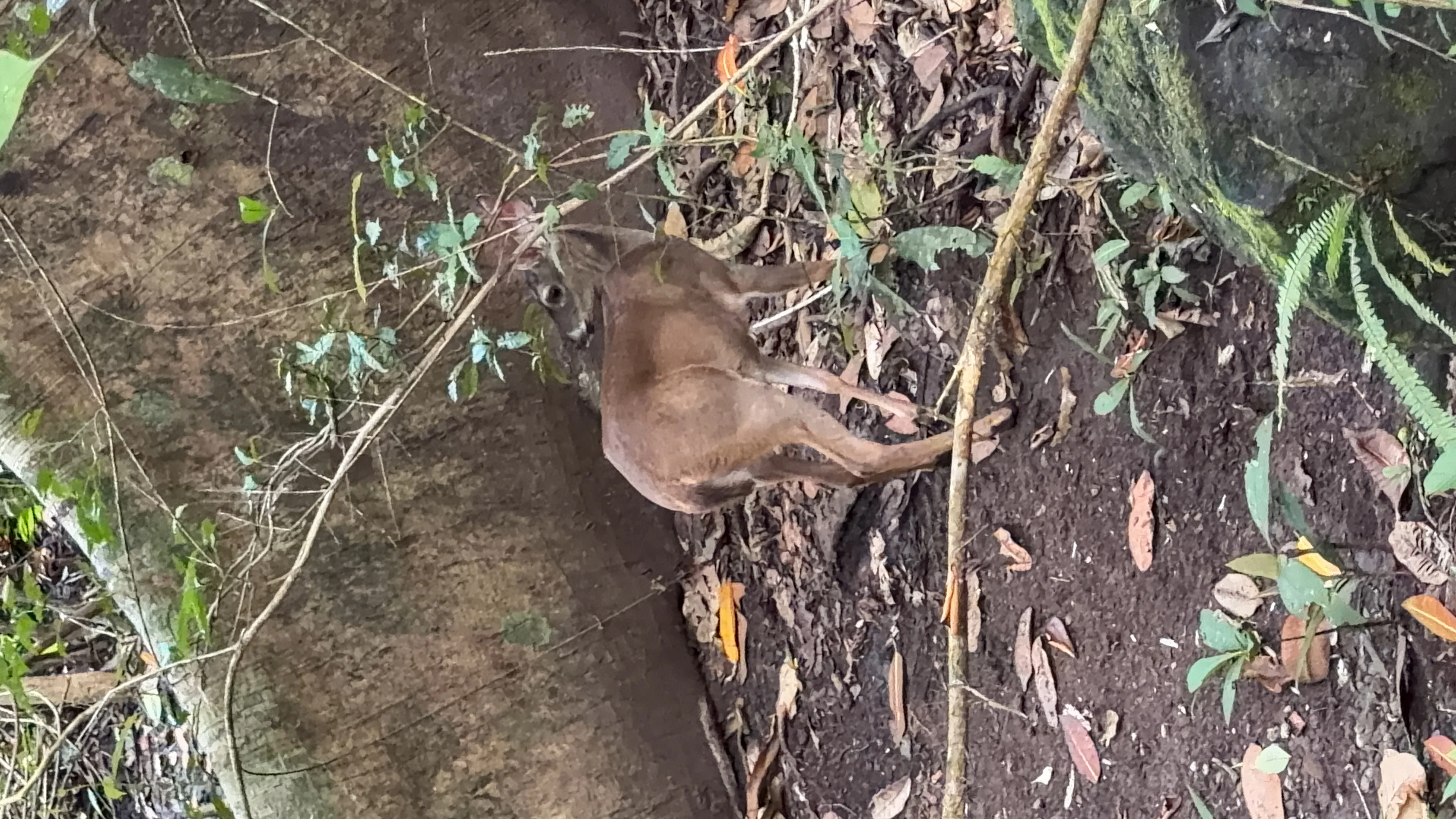 Parc Naturel Métropolitain - 4