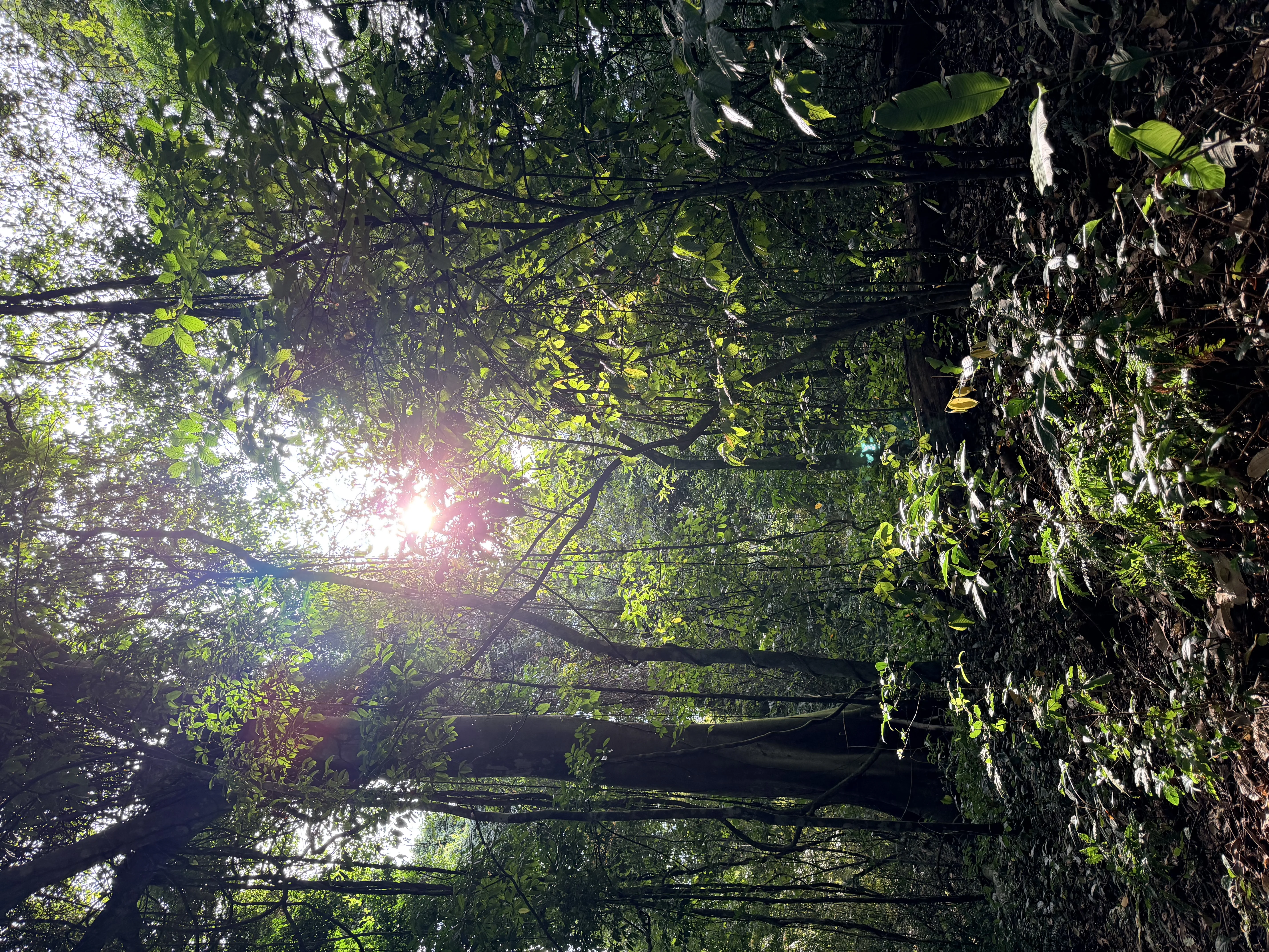 Parc Naturel Métropolitain - 6