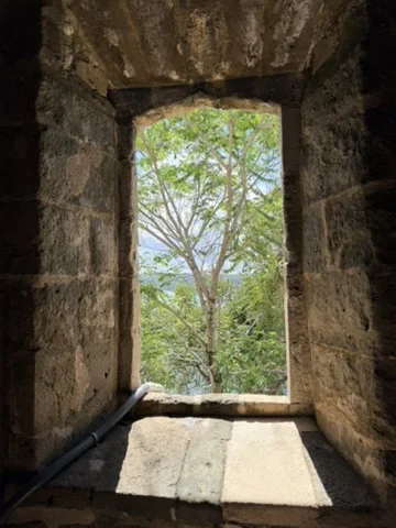 Fort San Lorenzo - 6