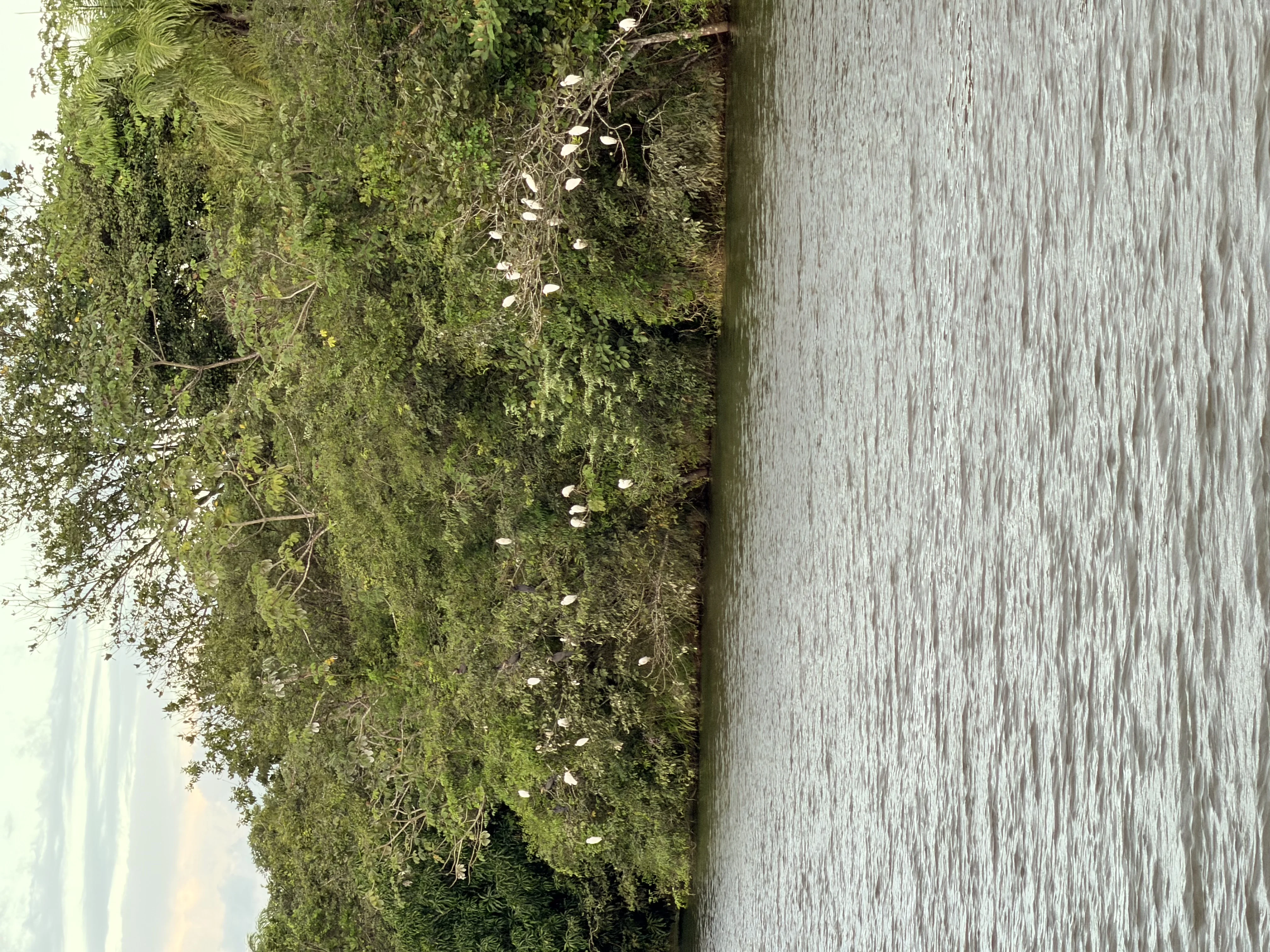 Santiago de Veraguas - 3