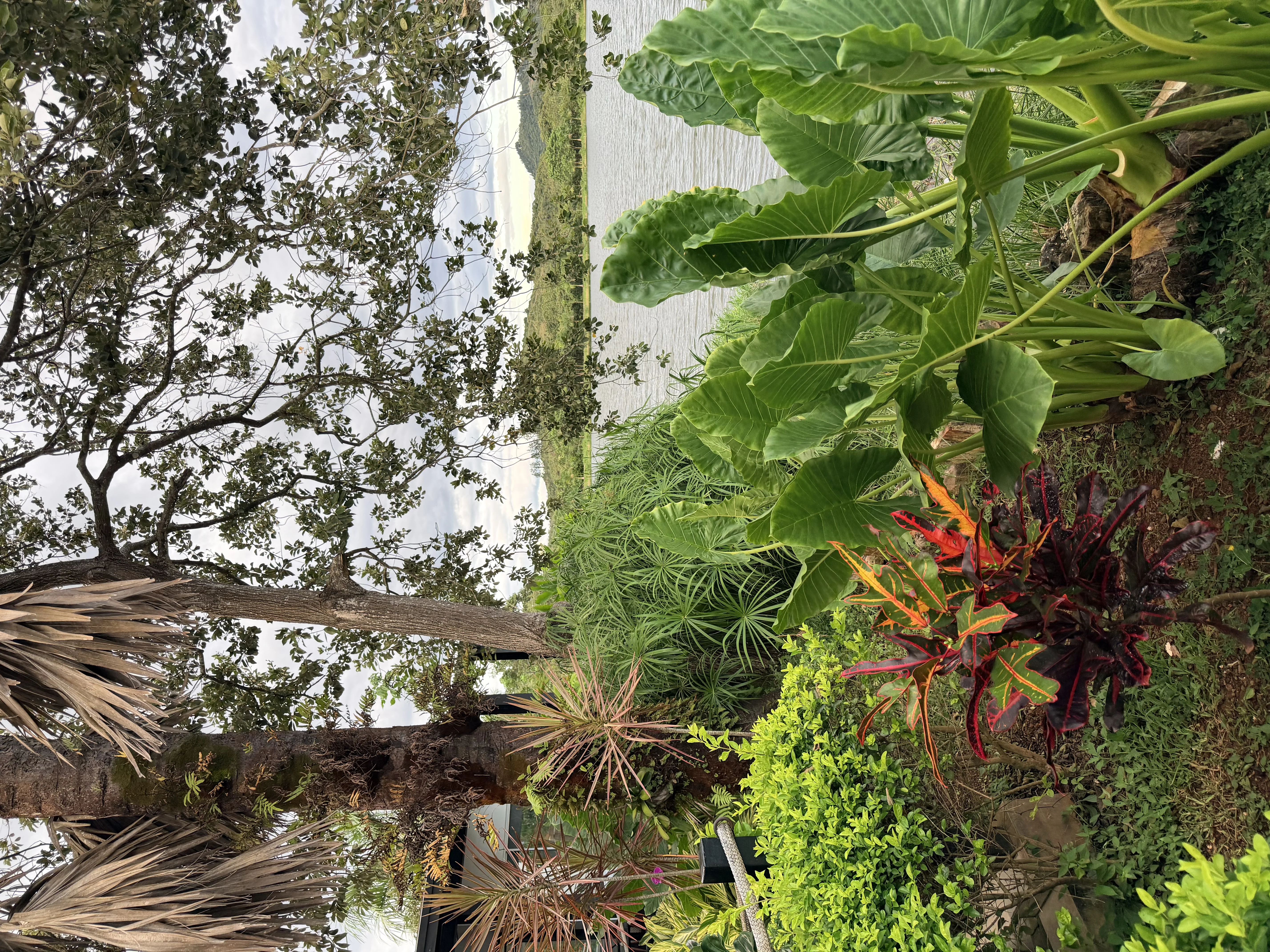 Santiago de Veraguas - 4