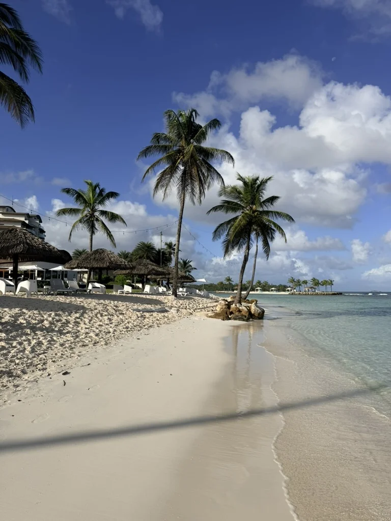 Your Guide to the Playa Escondida Area